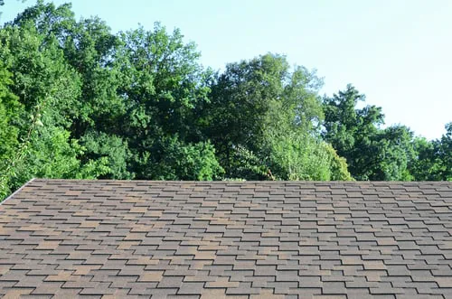 Roof Inspections & Maintenance / Inspecciones de Techo