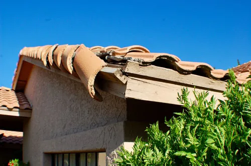 Roof Repairs & Leaks / Reparación de Techos
